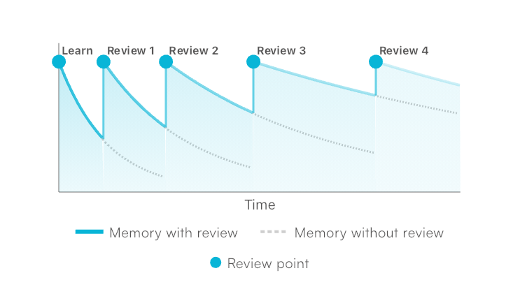 Spaced Repetition Learning Curve
